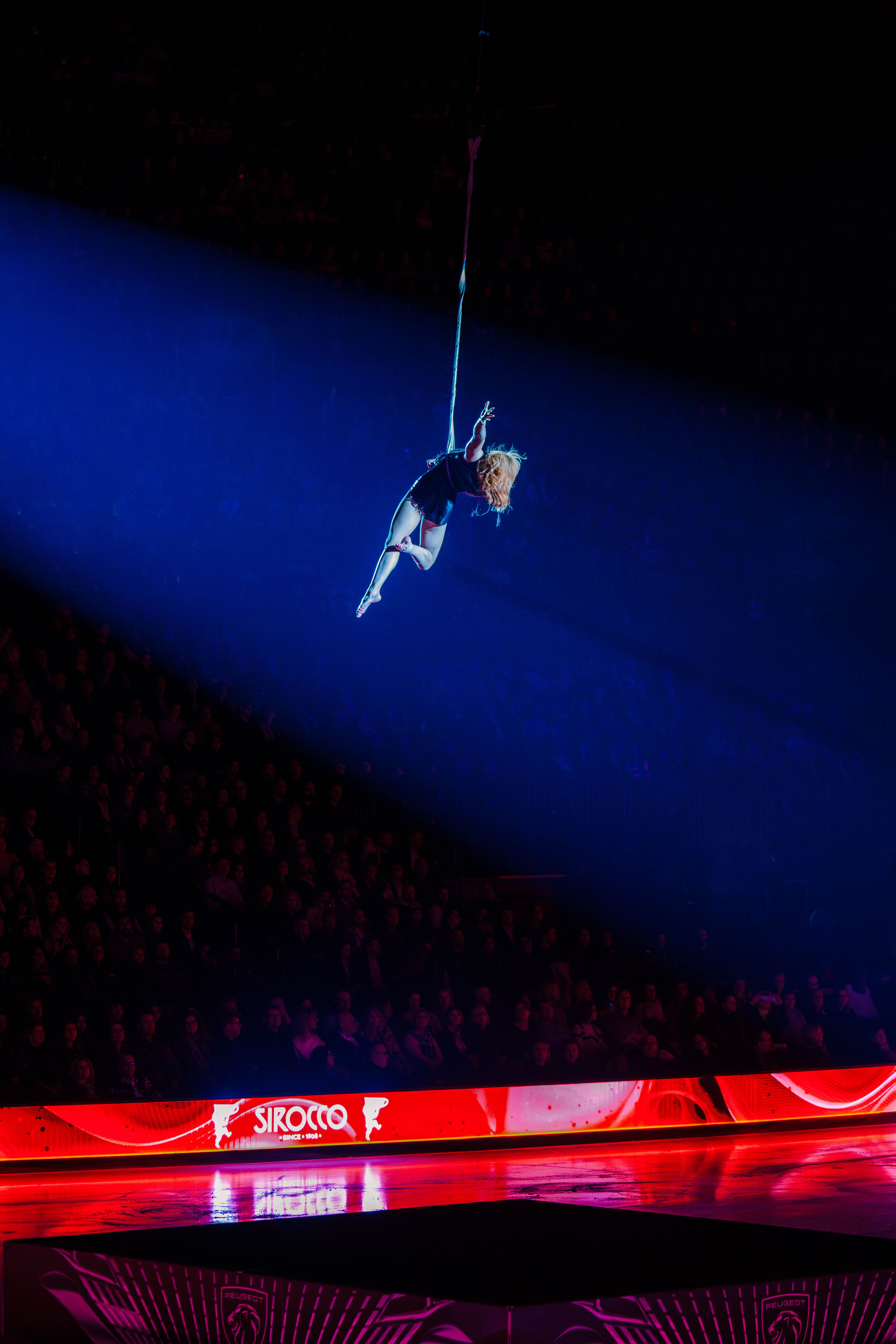 Ein Artist schwebt am Seil hoch über dem Publikum.