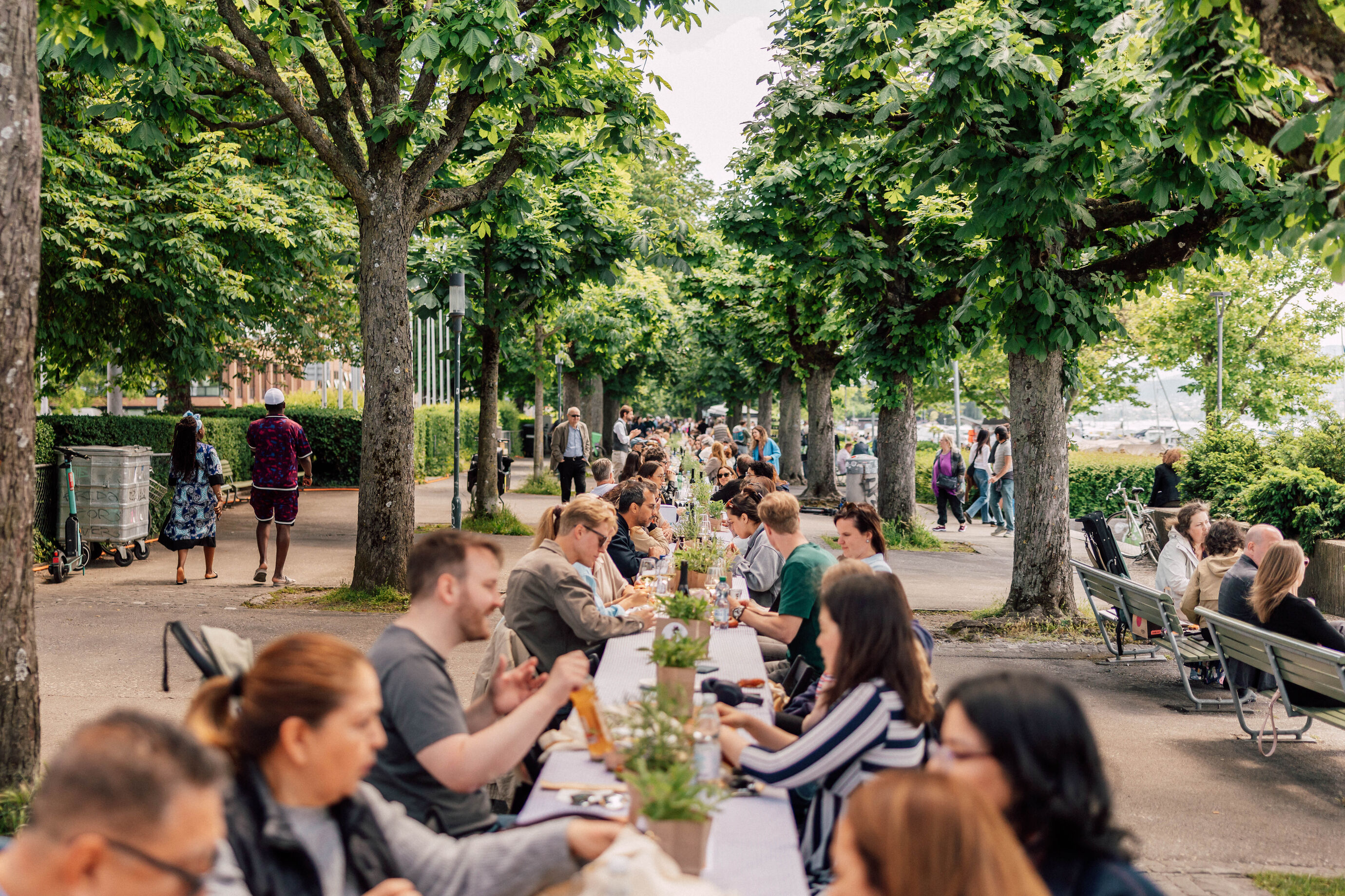Menschen sitzen an einer langen Tafel unter Bäumen beim Food Festival Zürich